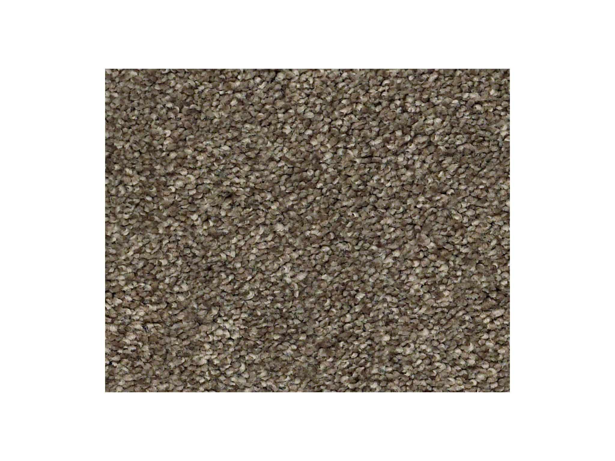 Shaw Carpet Anso Colorwall Find Your Comfort NS Blue Summer House