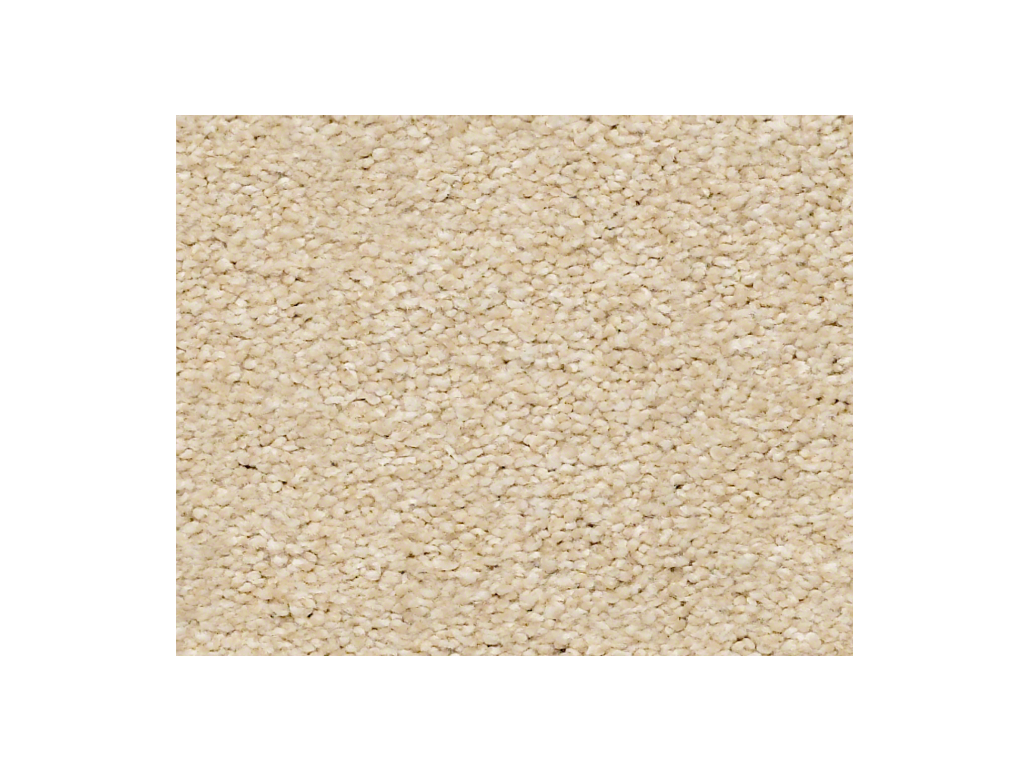 Shaw Carpet Anso Colorwall Find Your Comfort NS II Sun Kissed