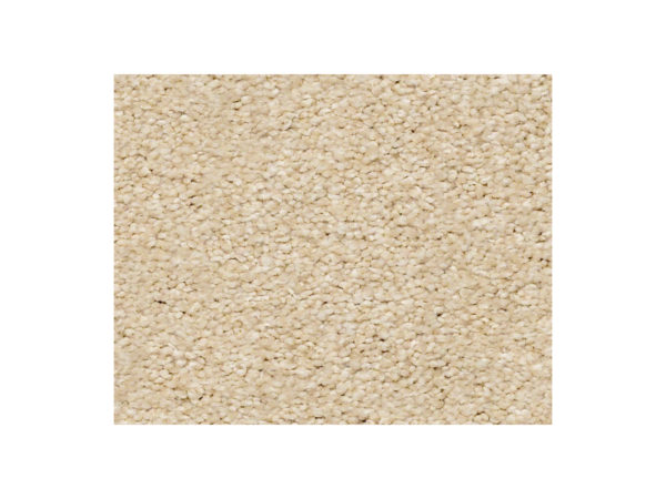 Shaw Carpet Anso Colorwall Find Your Comfort NS I Sun Kissed