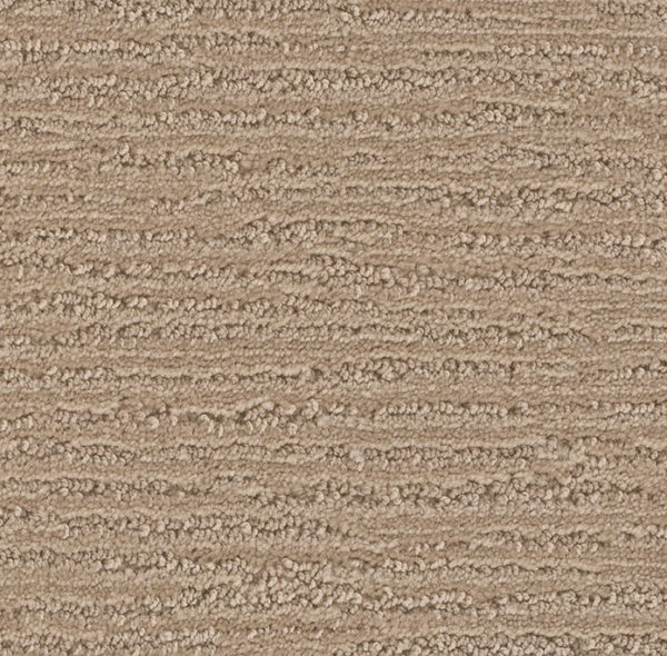 Dream Weaver Carpet Dartmouth Sunny Days