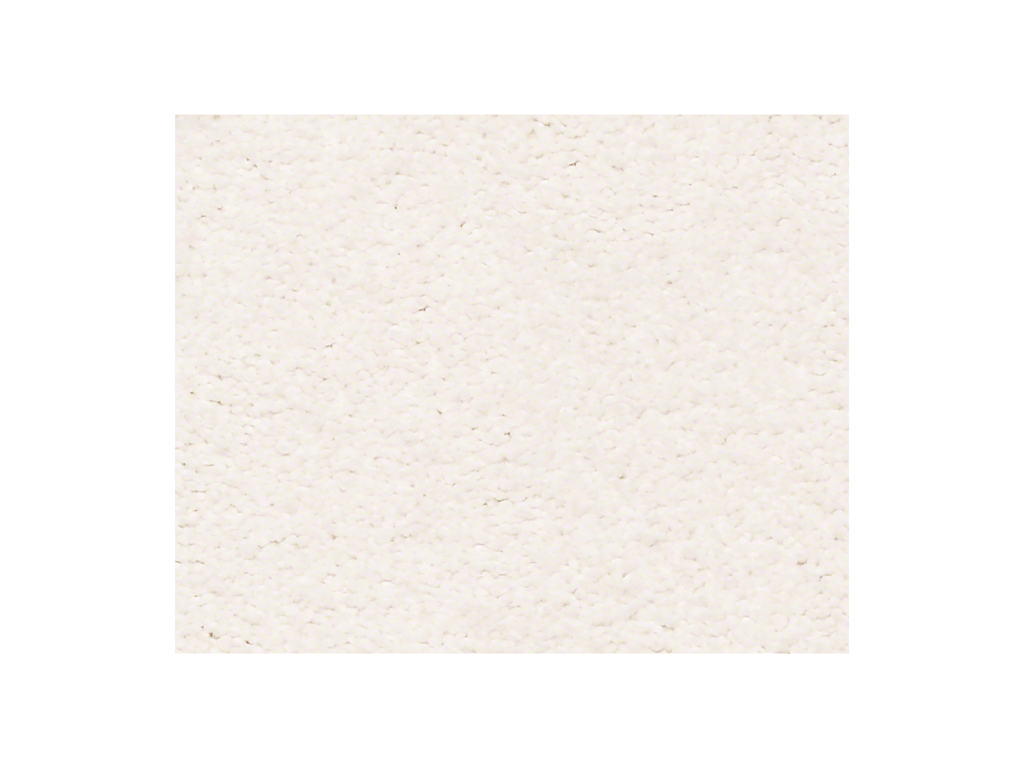 Shaw Carpet Anso Colorwall Find Your Comfort NS II Sweet Innocence