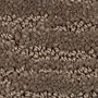 Mohawk Dynamic Design Taupestone
