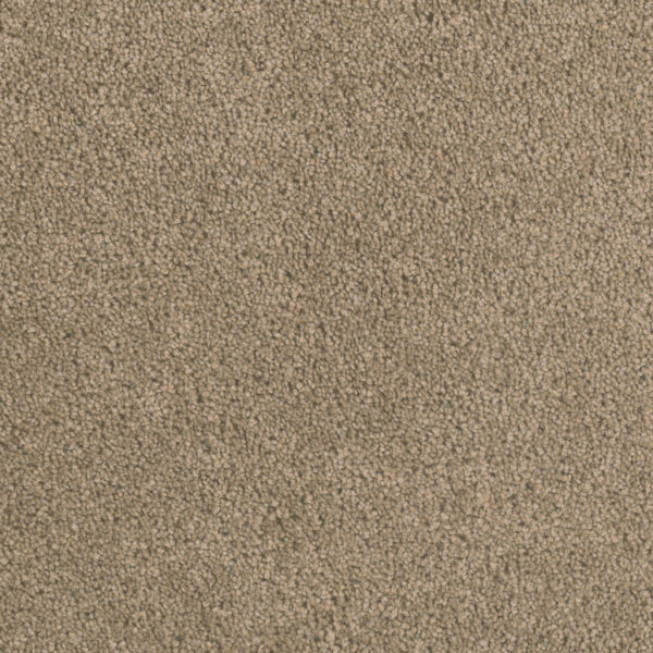 Dream Weaver Carpet Big Time Tigris