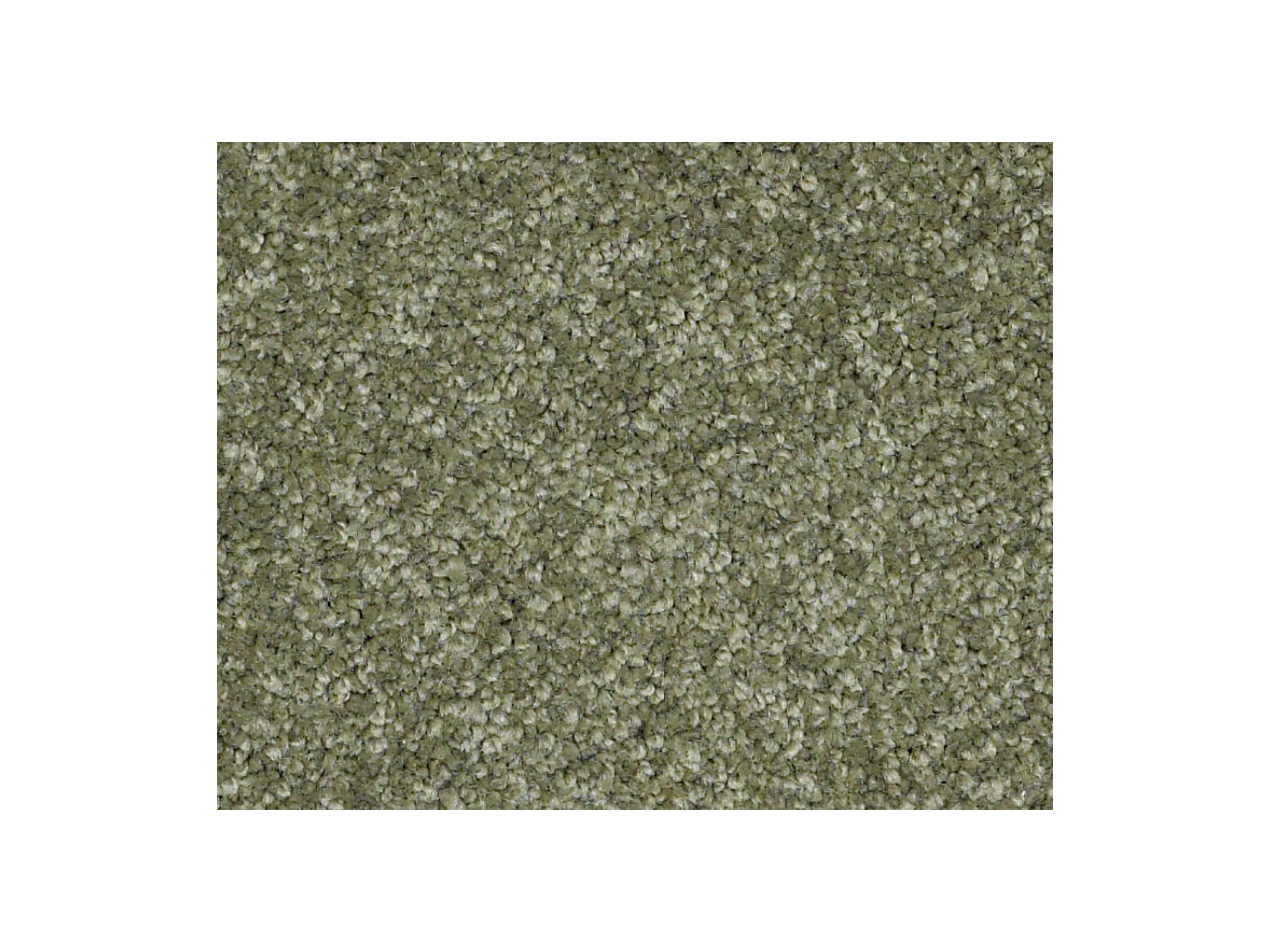 Shaw Carpet Anso Colorwall Platinum Twist Toscana Italia