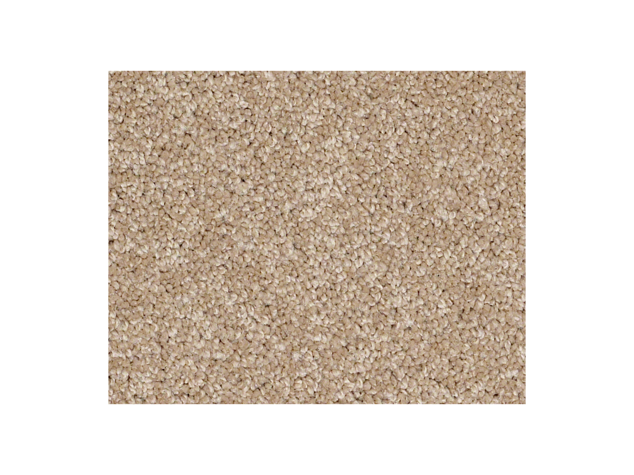 Shaw Carpet Anso Colorwall Platinum Twist Townhouse Taupe
