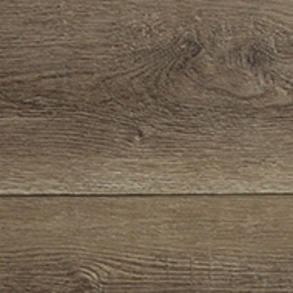 Chesapeake Multicore Premium Tavern Brown 
