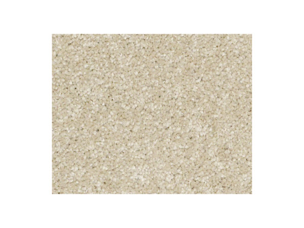 Shaw Carpet Anso Colorwall Platinum Twist Travertine