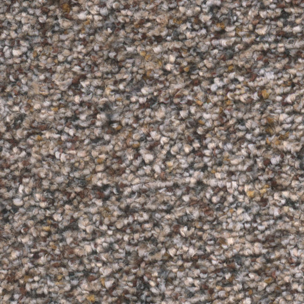 Dream Weaver Carpet Epic I Treasure Trove