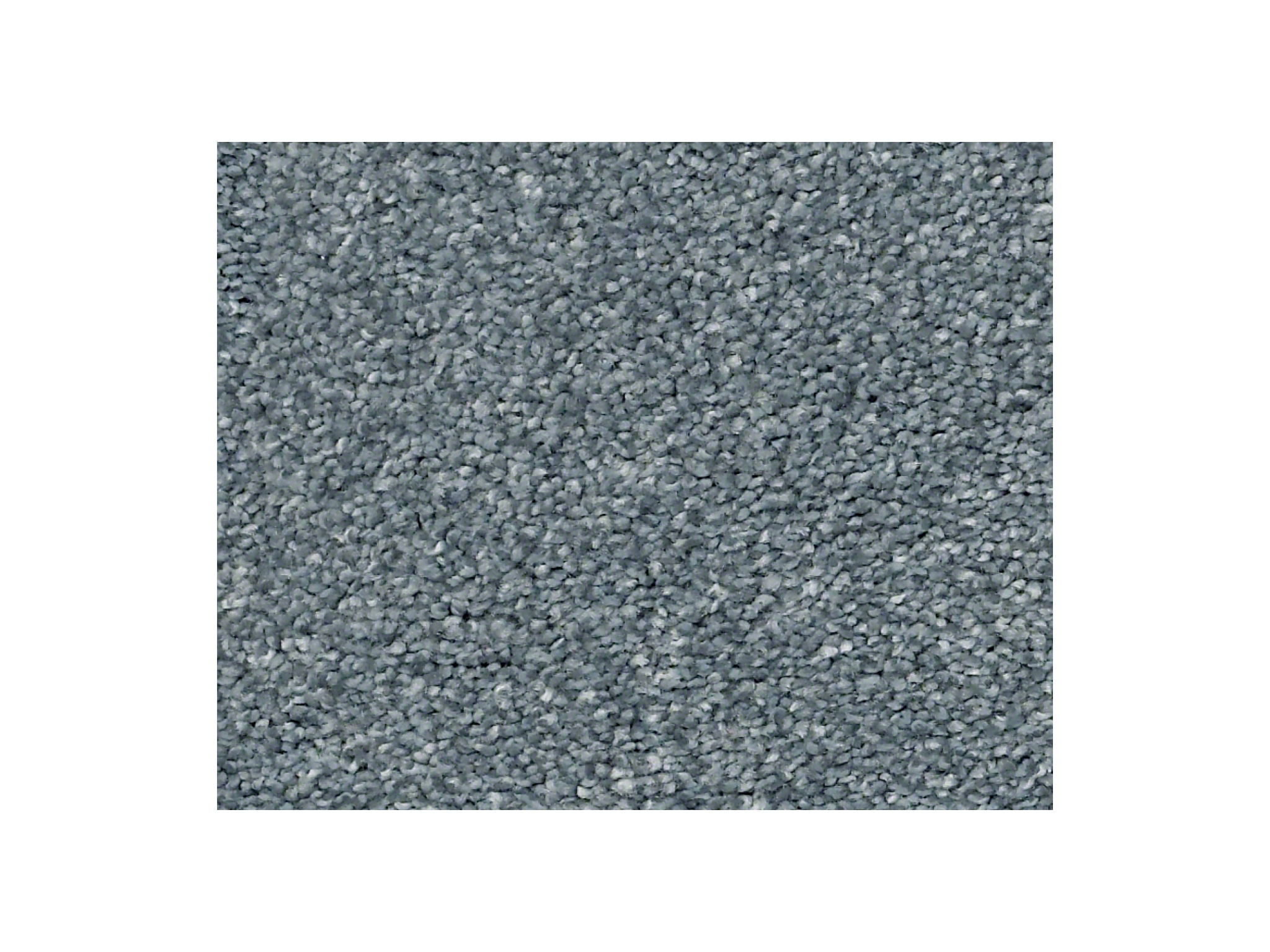 Shaw Carpet Anso Colorwall Find Your Comfort NS II Tropical Hideaway
