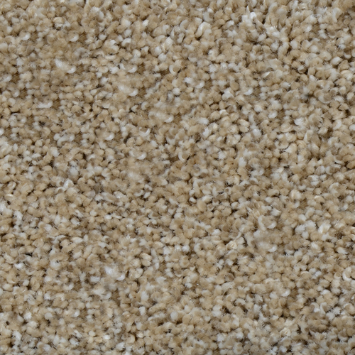 Dream Weaver Carpet Cosmopolitan Tumbleweed