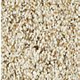 Mohawk Exquisite Appeal Tumbleweed