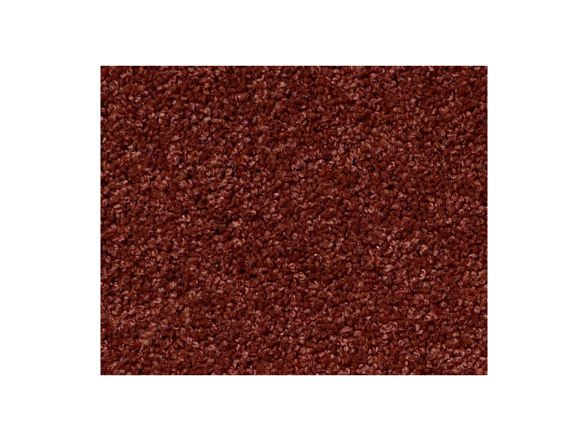 Shaw Carpet Anso Colorwall Platinum Twist Tuscan Sunset