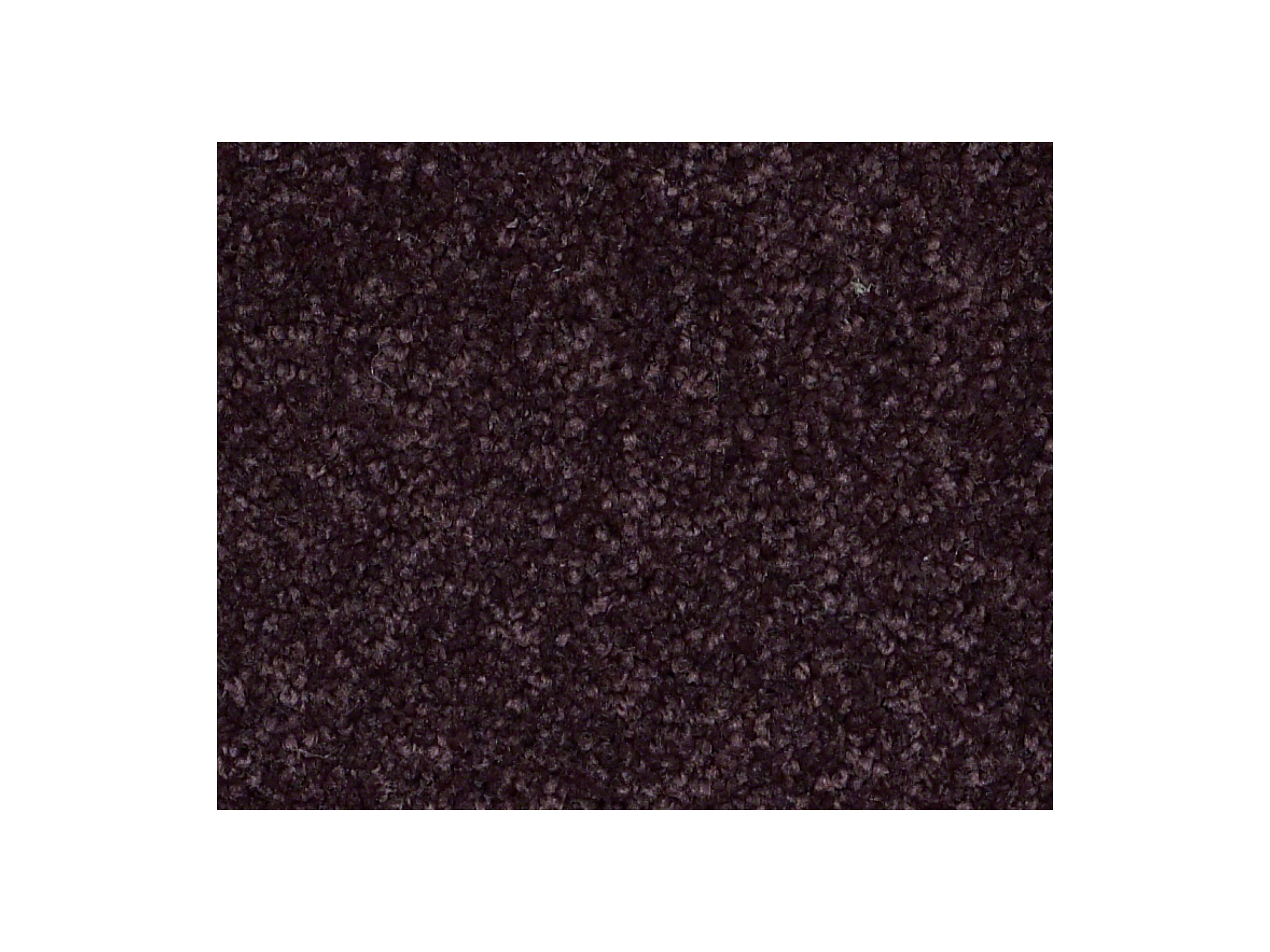 Shaw Carpet Anso Colorwall Platinum Twist Tyrian Purple