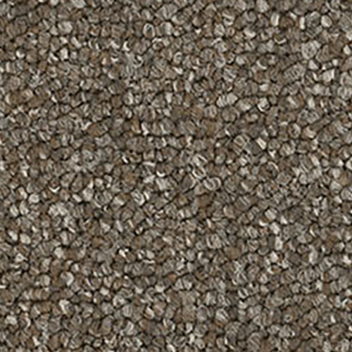 Pentz Diversified 20 Carpet Tiles Varied 2044