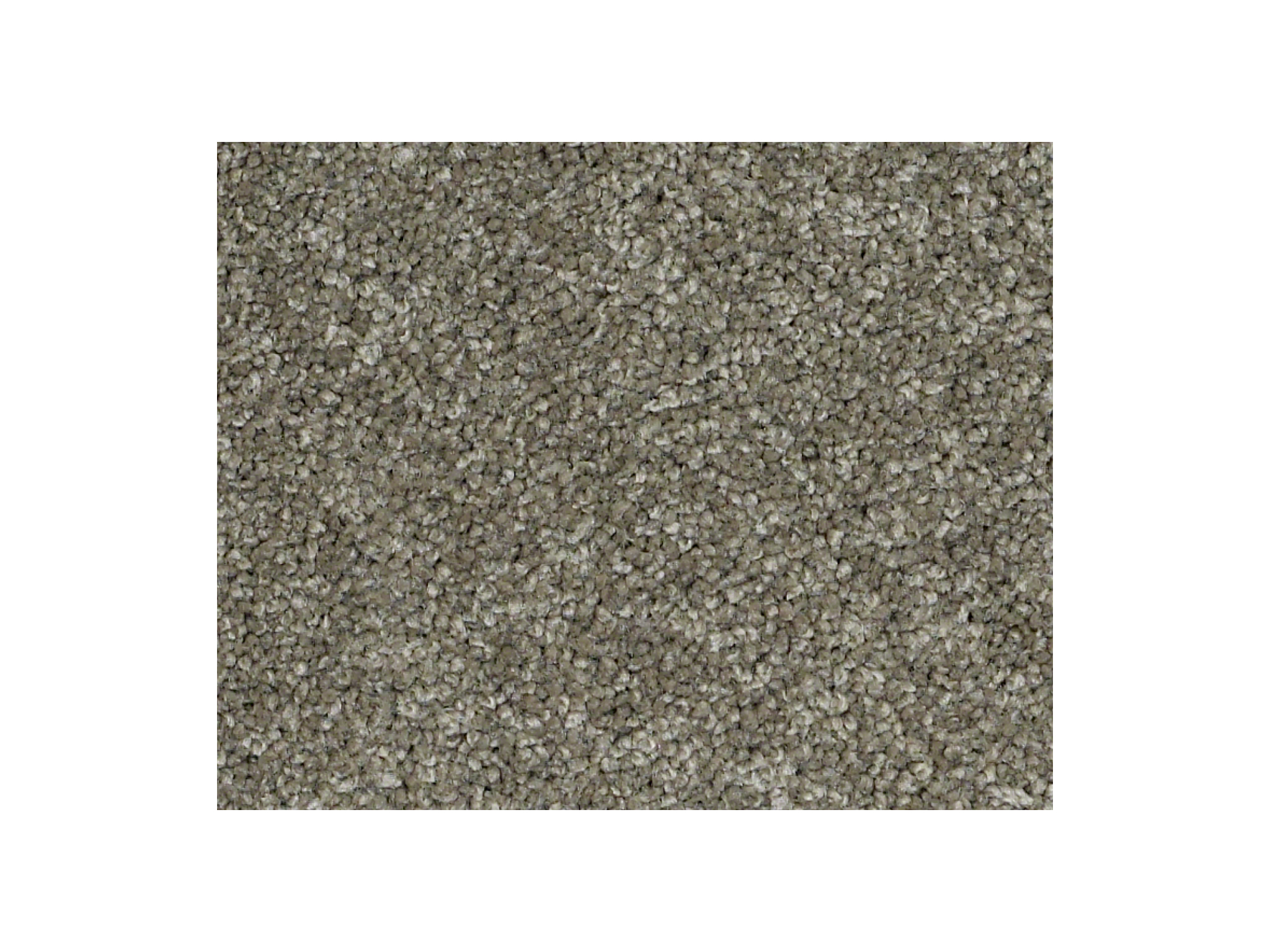 Shaw Carpet Anso Colorwall Titanium Texture Venice Pier