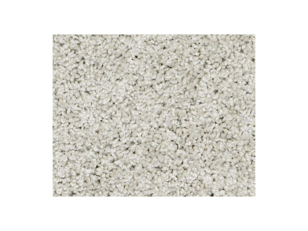 Shaw Carpet Anso Colorwall Platinum Twist Waikiki Sand