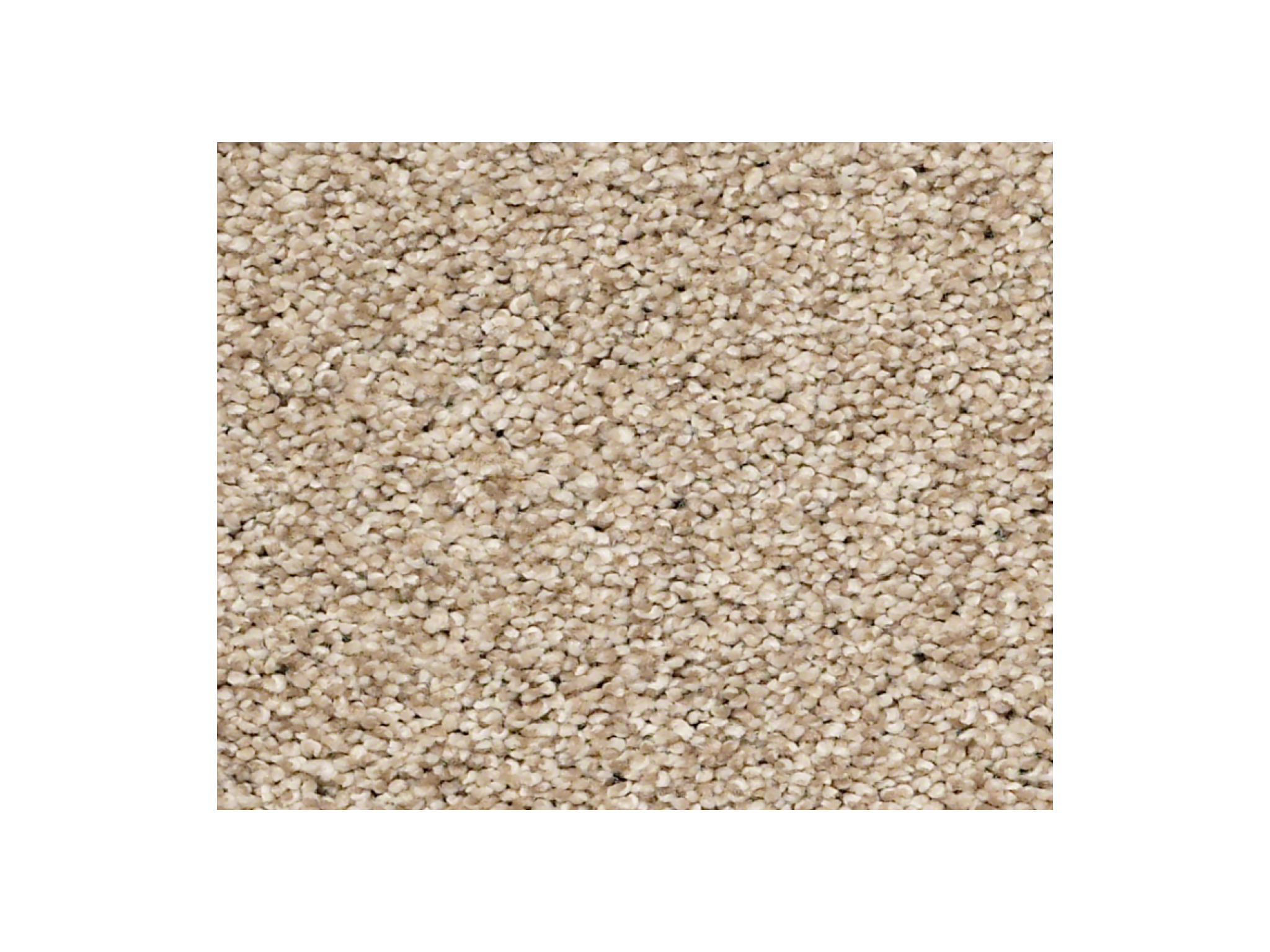 Shaw Carpet Anso Colorwall Find Your Comfort TT II Walk On The Beach