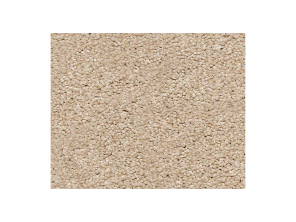 Shaw Carpet Anso Colorwall Find Your Comfort NS Blue Walk On The Beach