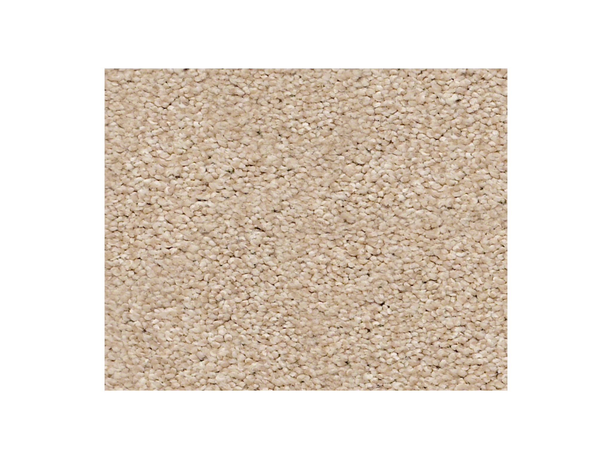 Shaw Carpet Anso Colorwall Find Your Comfort NS II Walk On The Beach