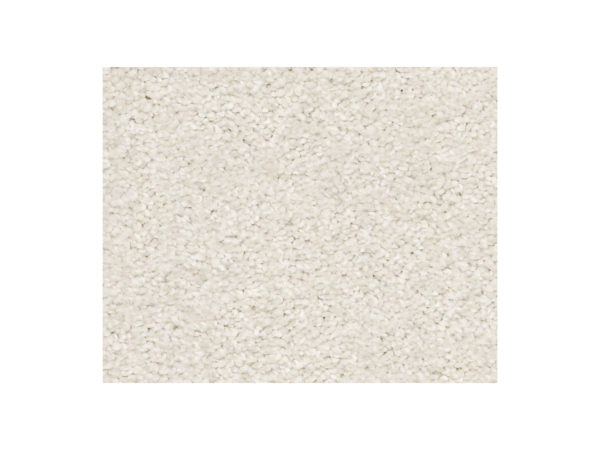 Shaw Carpet Anso Colorwall Find Your Comfort NS Blue Warm Blanket