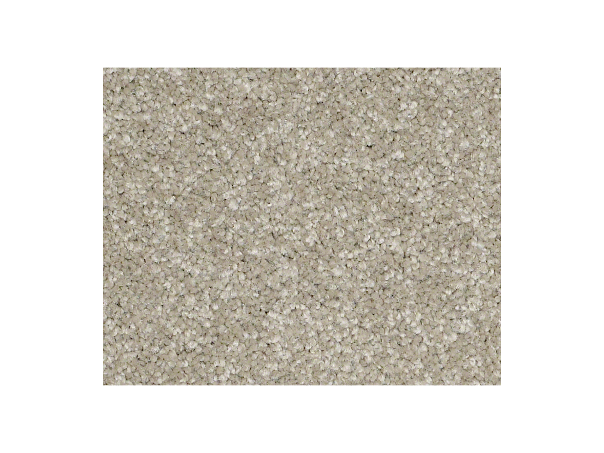 Shaw Carpet Anso Colorwall Platinum Twist Warm Oatmeal