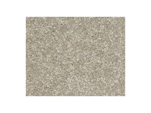 Shaw Carpet Anso Colorwall Gold Texture Warm Oatmeal
