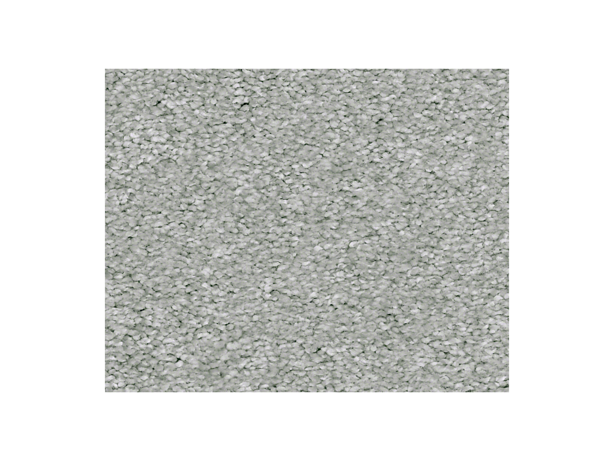 Shaw Carpet Anso Colorwall Find Your Comfort NS Blue Water's Edge