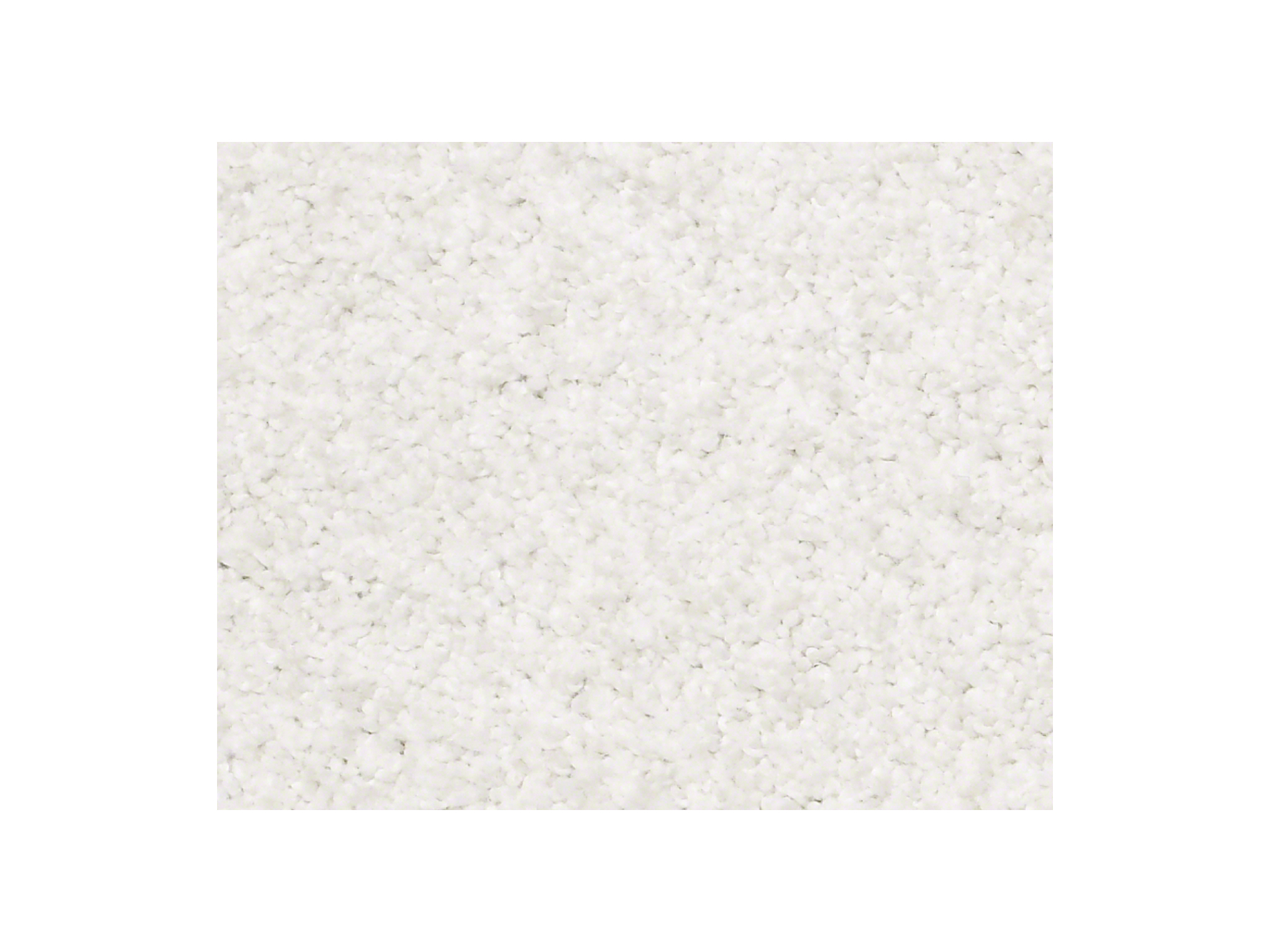 Shaw Carpet Anso Colorwall Find Your Comfort TT I Wedding Day