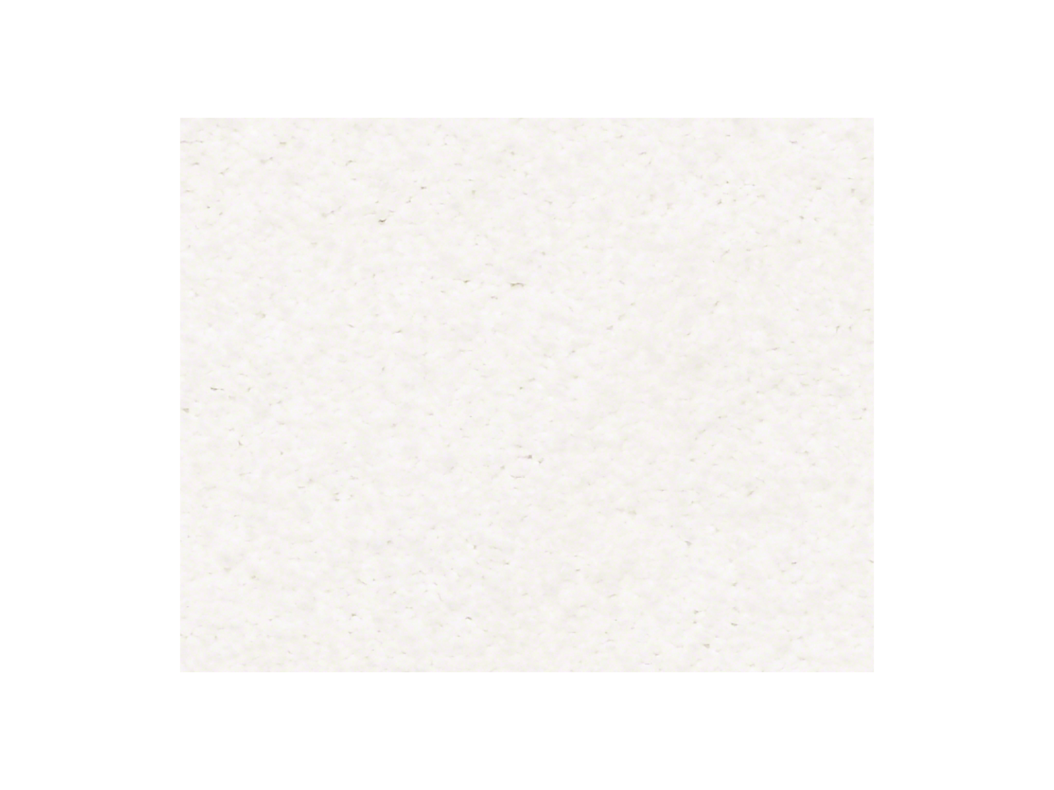 Shaw Carpet Anso Colorwall Find Your Comfort NS II Wedding Day