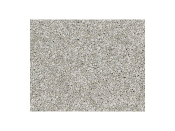 Shaw Carpet Anso Colorwall Gold Texture When In Rome