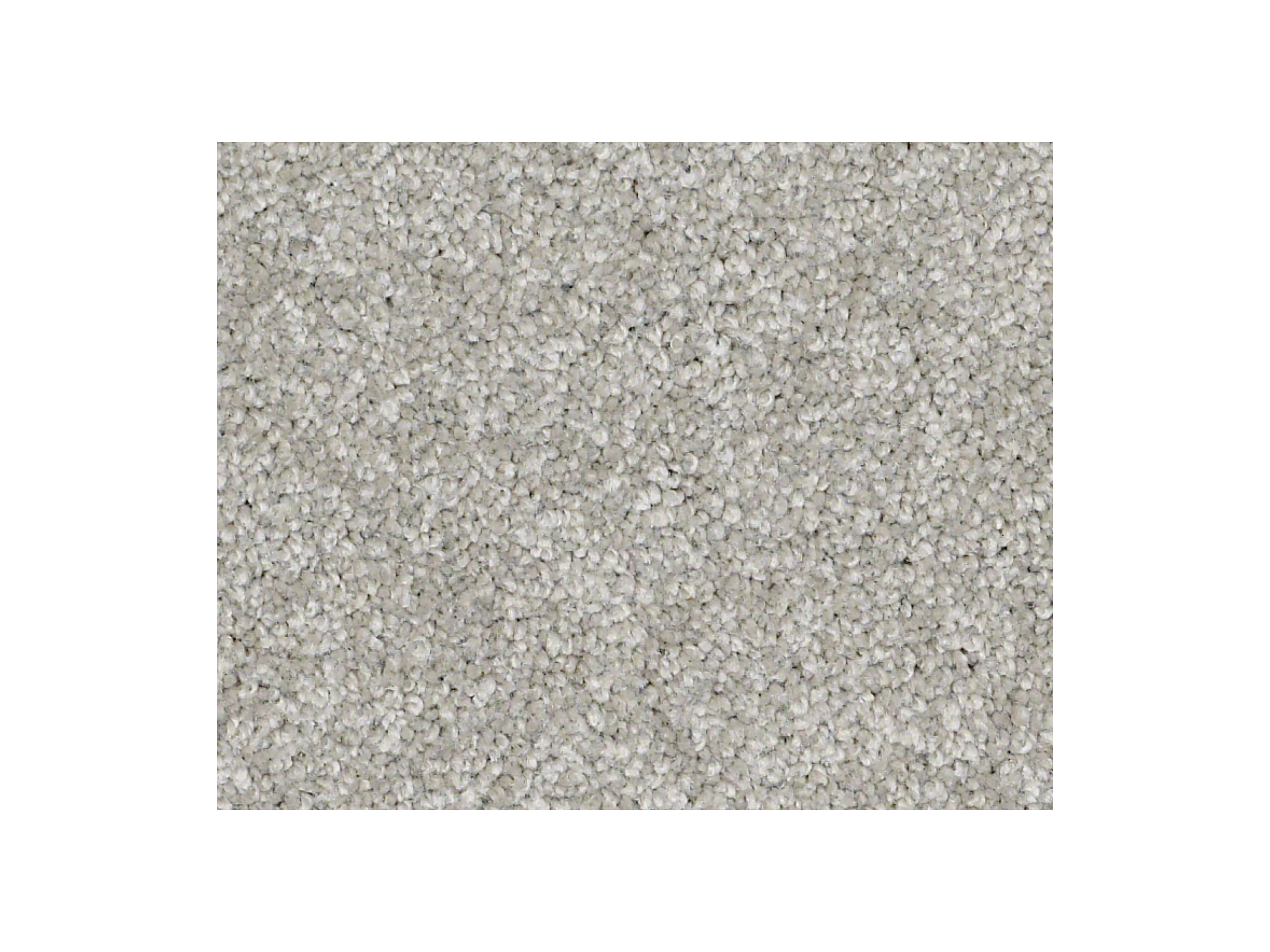 Shaw Carpet Anso Colorwall Gold Texture When In Rome