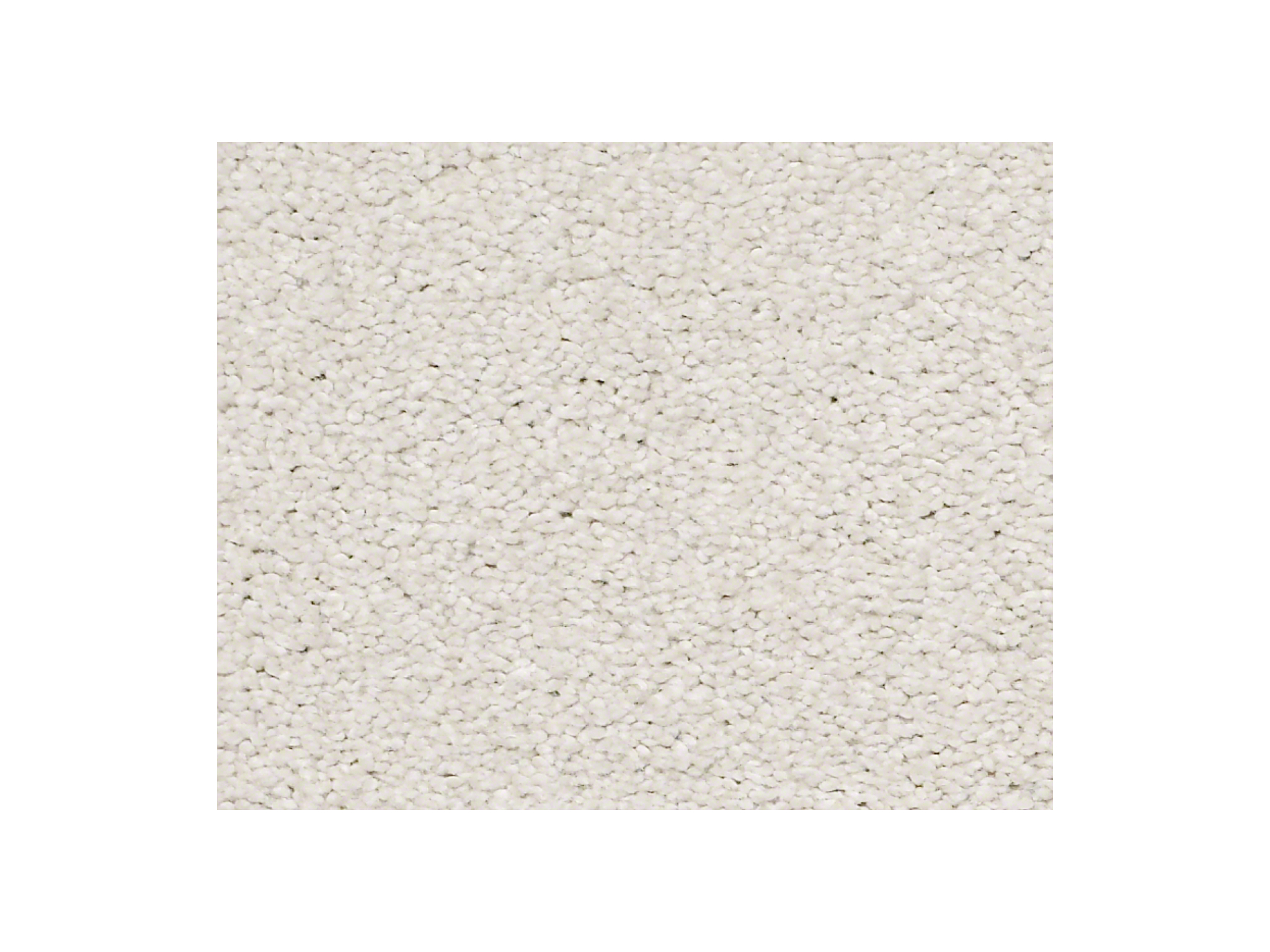 Shaw Carpet Anso Colorwall Find Your Comfort NS II Whitewashed Frame
