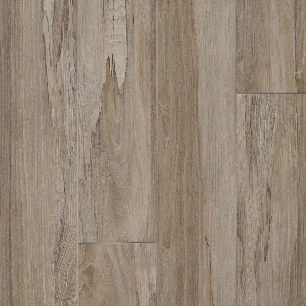 Mannington Adura Apex: Spalted Wych Elm- Wild Flower APX022 