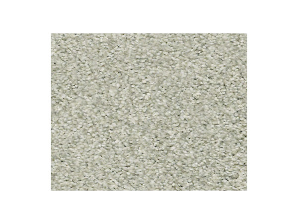 Shaw Carpet Anso Colorwall Find Your Comfort TT II Willow Tree