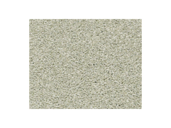 Shaw Carpet Anso Colorwall Find Your Comfort NS Blue Willow Tree