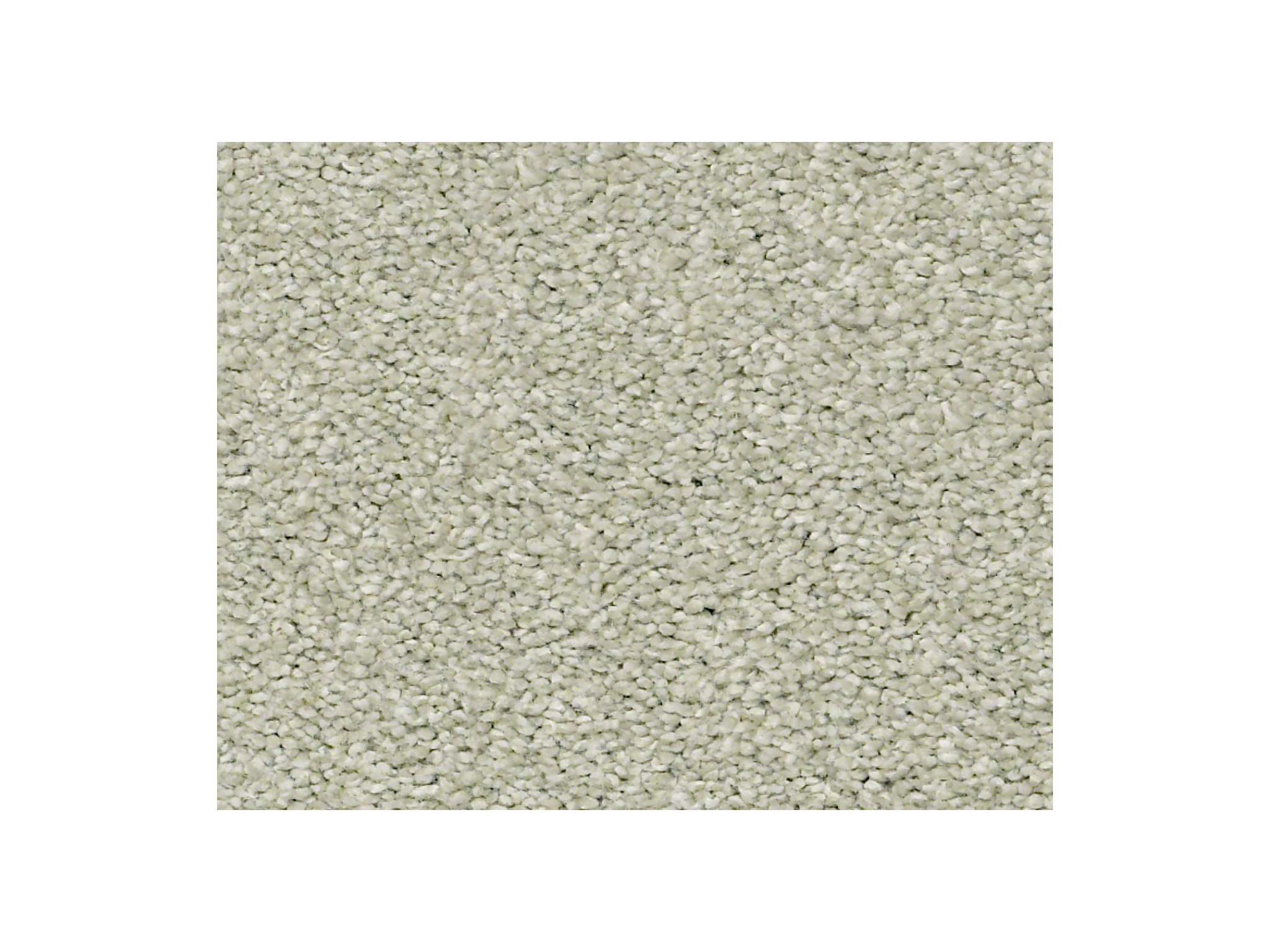Shaw Carpet Anso Colorwall Find Your Comfort NS II Willow Tree