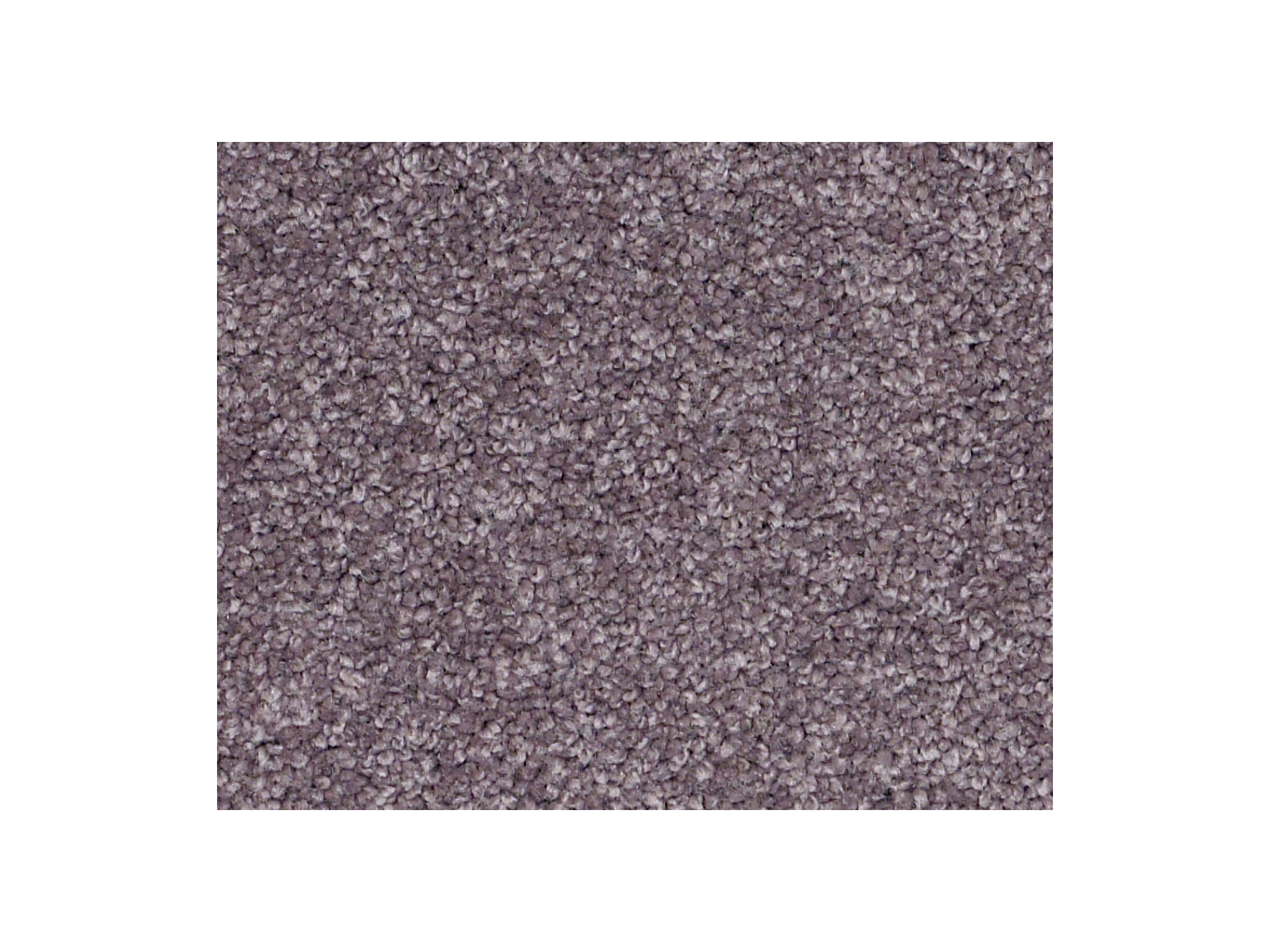 Shaw Carpet Anso Colorwall Gold Texture Yorkshire Countryside
